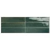 Remedy Herbal 2-3/8 in. x 9-5/8 in. Glazed Porcelain Subway Wall Tile (5.42 sq. ft./Case) by Daltile -Daltile Sales Store herbal daltile porcelain tile rd21391p 64 1000